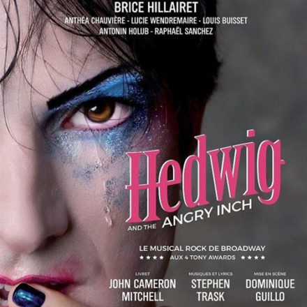 Hedwig and the angry inch