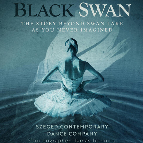 Black Swan